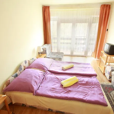 Sylvia Haz Guest house